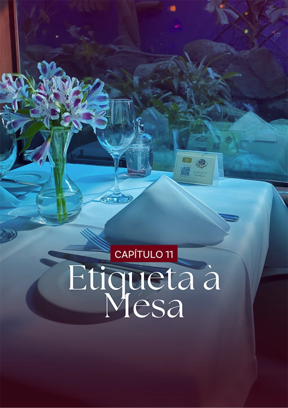 capa11